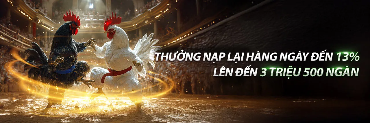 aev99 Đá Gà Trực Tuyến với những trận đấu kịch tính